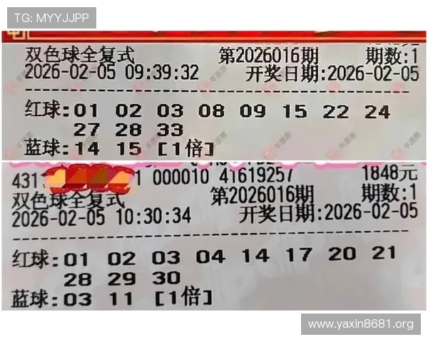 b体育平台深度解析:如何安全高效地进行体育投注